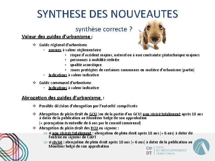 SYNTHESE DES NOUVEAUTES synthèse correcte ? Valeur des guides d’urbanisme : v Guide régional