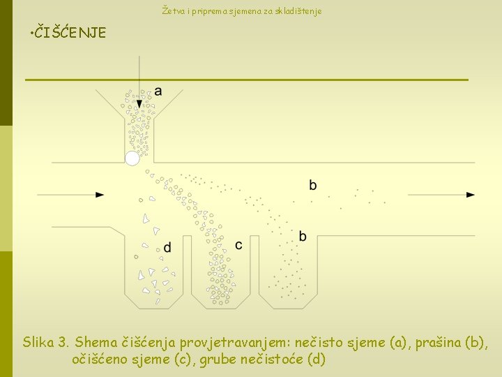 Žetva i priprema sjemena za skladištenje • ČIŠĆENJE Slika 3. Shema čišćenja provjetravanjem: nečisto