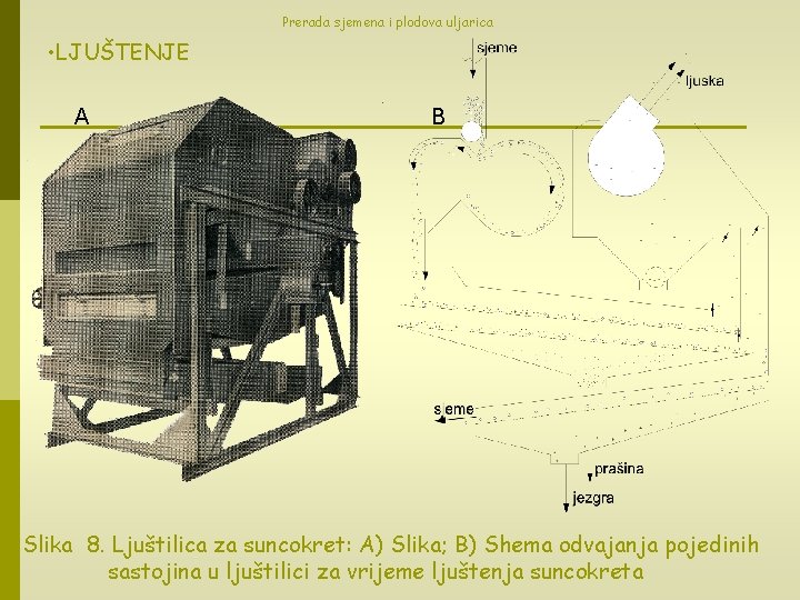 Prerada sjemena i plodova uljarica • LJUŠTENJE A B Slika 8. Ljuštilica za suncokret: