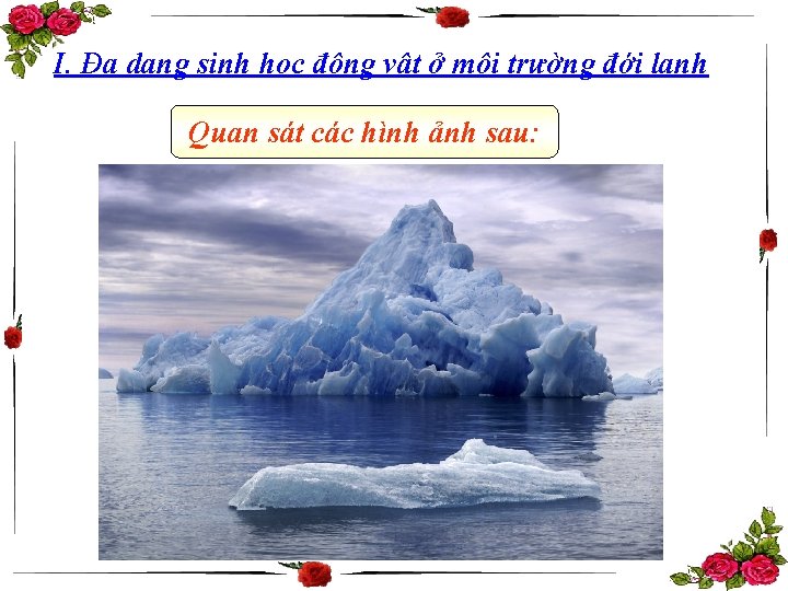 I. Đa dạng sinh học động vật ở môi trường đới lạnh Quan sát