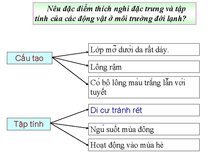 Nêu đặc điểm thích nghi đặc trưng và tập tính của các động vật