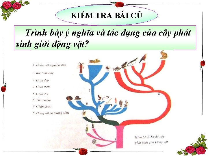 KIỂM TRA BÀI CŨ Trình bày ý nghĩa và tác dụng của cây phát