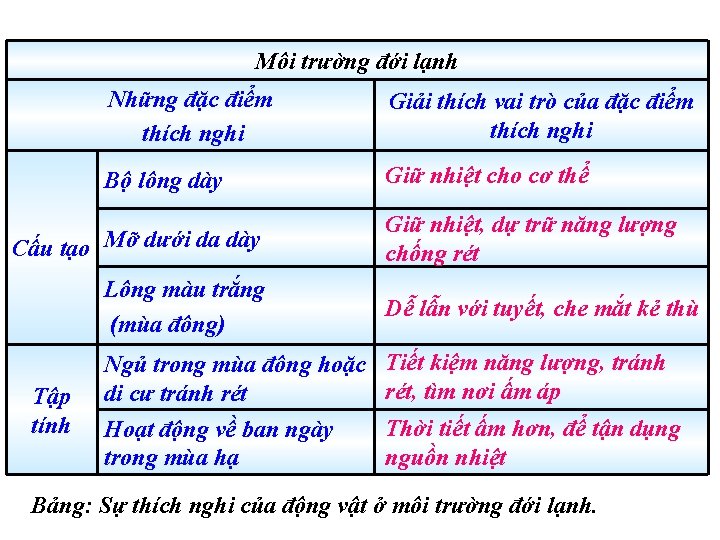 Môi trường đới lạnh Những đặc điểm thích nghi Giải thích vai trò của