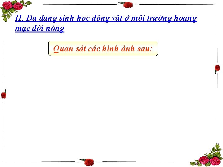 II. Đa dạng sinh học động vật ở môi trường hoang mạc đới nóng