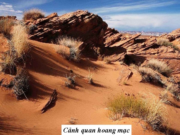 Cảnh quan hoang mạc 