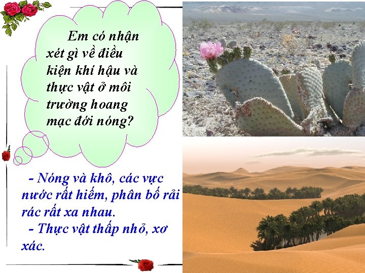 Em có nhận xét gì về điều kiện khí hậu và thực vật ở
