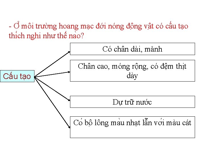 - Ơ môi trường hoang mạc đới nóng đô ng vâ t có cấu