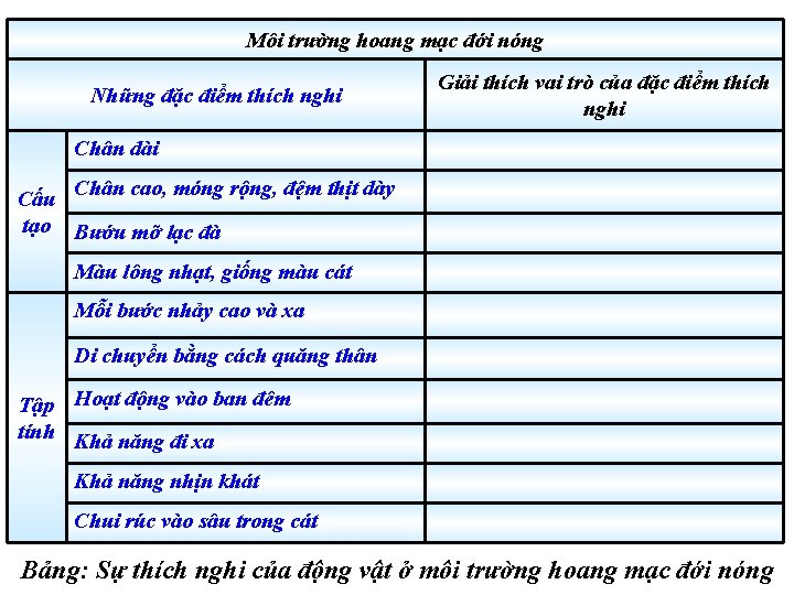 Môi trường hoang mạc đới nóng Những đặc điểm thích nghi Giải thích vai