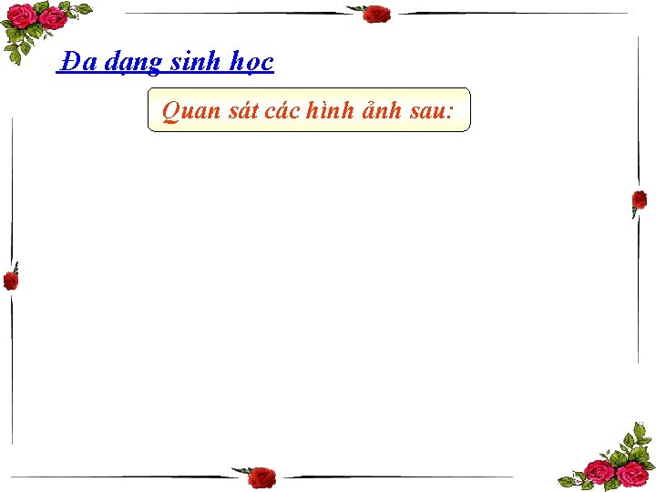 Đa dạng sinh học Quan sát các hình ảnh sau: 