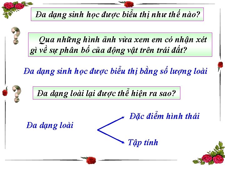 Đa dạng sinh học được biểu thị như thế nào? Qua những hình ảnh