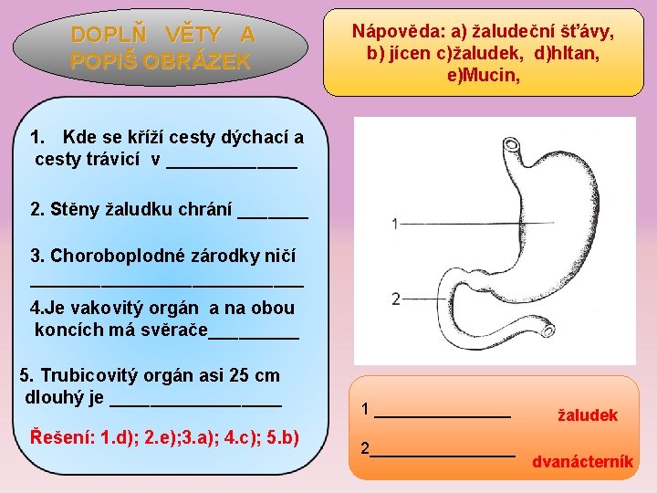 DOPLŇ VĚTY A POPIŠ OBRÁZEK Nápověda: a) žaludeční šťávy, b) jícen c)žaludek, d)hltan, e)Mucin,