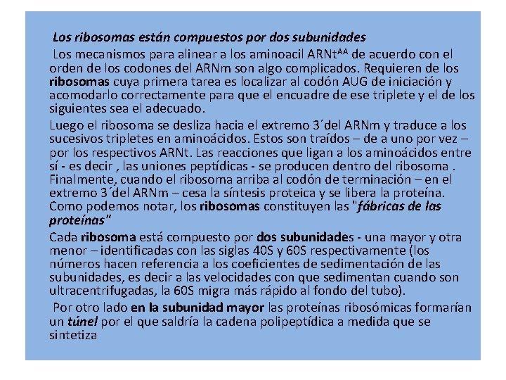 Los ribosomas están compuestos por dos subunidades Los mecanismos para alinear a los aminoacil