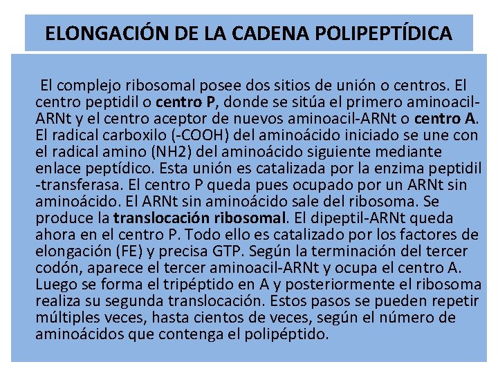 ELONGACIÓN DE LA CADENA POLIPEPTÍDICA El complejo ribosomal posee dos sitios de unión o