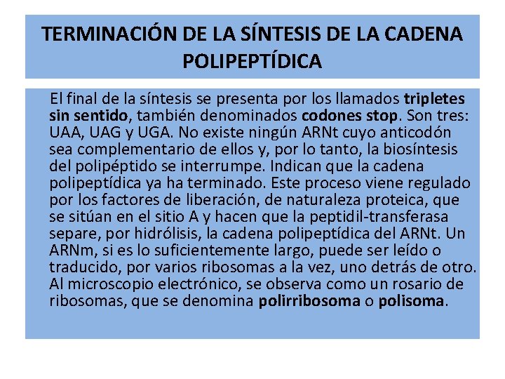 TERMINACIÓN DE LA SÍNTESIS DE LA CADENA POLIPEPTÍDICA El final de la síntesis se