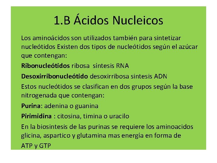 1. B Ácidos Nucleicos Los aminoácidos son utilizados también para sintetizar nucleótidos Existen dos