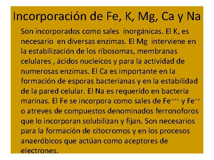 Incorporación de Fe, K, Mg, Ca y Na Son incorporados como sales inorgánicas. El
