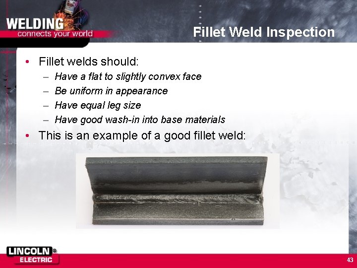 Fillet Weld Inspection • Fillet welds should: – – Have a flat to slightly