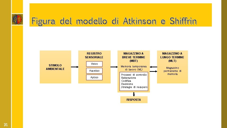 Figura del modello di Atkinson e Shiffrin REGISTRO SENSORIALE STIMOLO AMBIENTALE Visivo Acustico Aptico