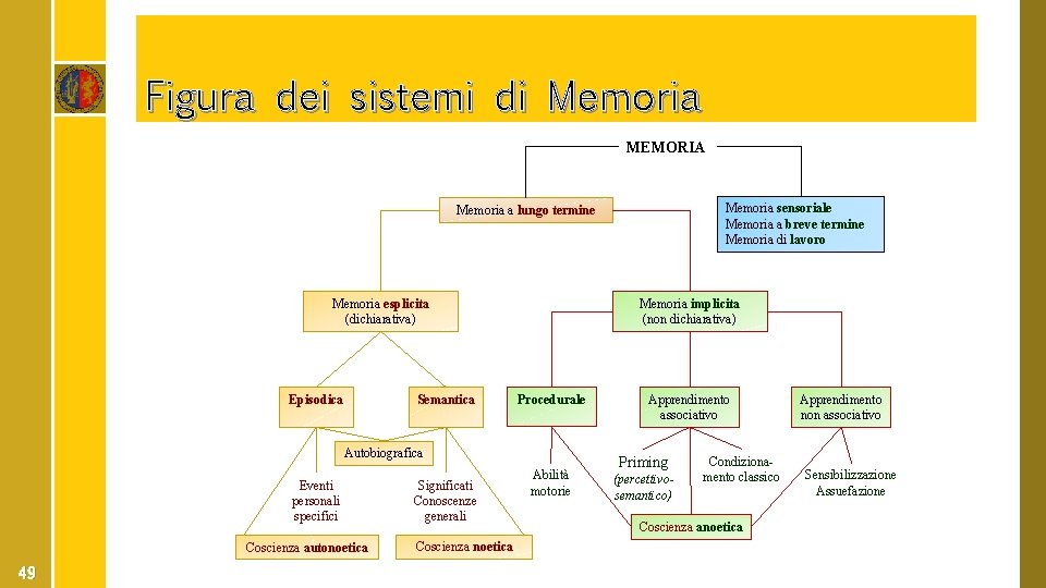 Figura dei sistemi di Memoria MEMORIA Memoria sensoriale Memoria a breve termine Memoria di