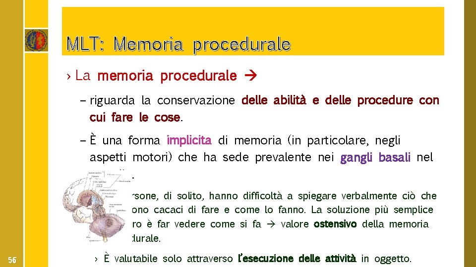 MLT: Memoria procedurale › La memoria procedurale – riguarda la conservazione delle abilità e