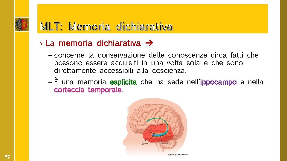 MLT: Memoria dichiarativa › La memoria dichiarativa – concerne la conservazione delle conoscenze circa