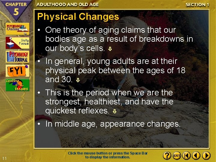 Physical Changes • One theory of aging claims that our bodies age as a