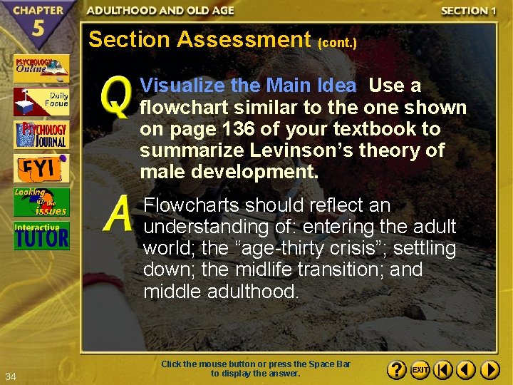 Section Assessment (cont. ) Visualize the Main Idea Use a flowchart similar to the