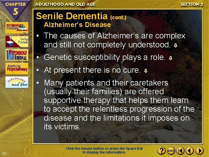 Senile Dementia (cont. ) Alzheimer’s Disease • The causes of Alzheimer’s are complex and
