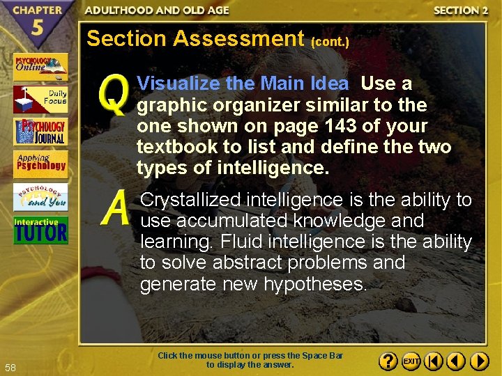 Section Assessment (cont. ) Visualize the Main Idea Use a graphic organizer similar to