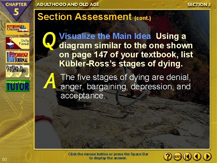 Section Assessment (cont. ) Visualize the Main Idea Using a diagram similar to the