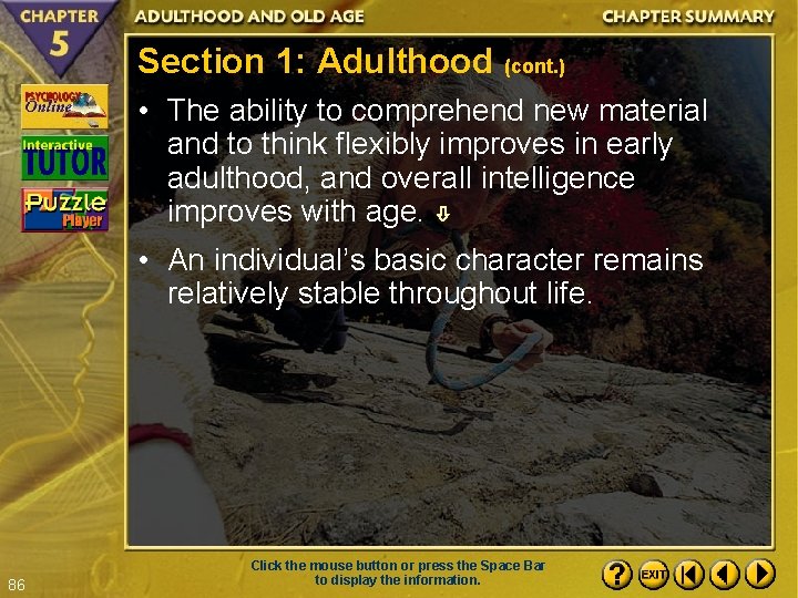 Section 1: Adulthood (cont. ) • The ability to comprehend new material and to