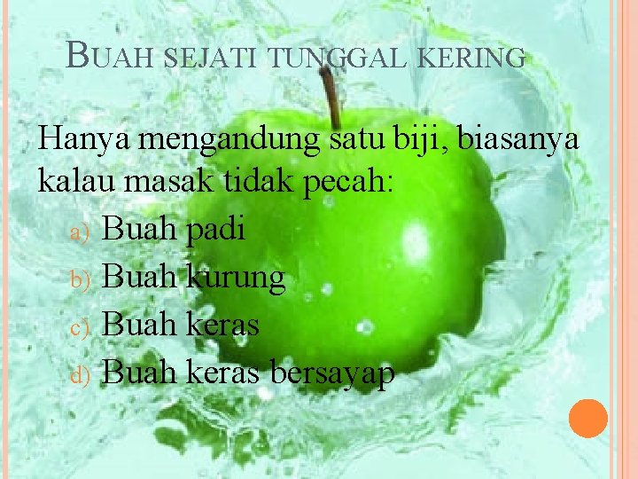 BUAH SEJATI TUNGGAL KERING Hanya mengandung satu biji, biasanya kalau masak tidak pecah: a)