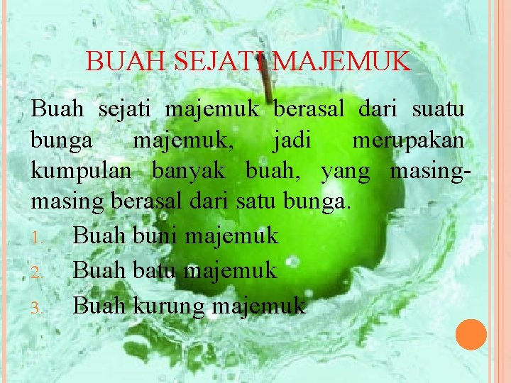 BUAH SEJATI MAJEMUK Buah sejati majemuk berasal dari suatu bunga majemuk, jadi merupakan kumpulan