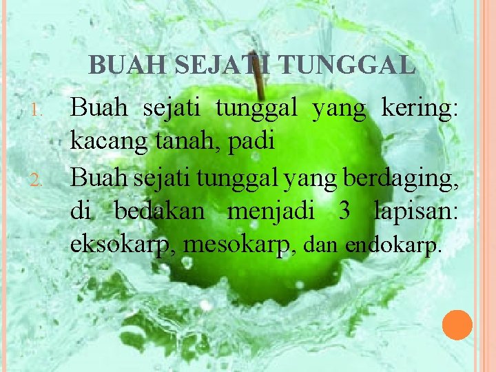 BUAH SEJATI TUNGGAL 1. 2. Buah sejati tunggal yang kering: kacang tanah, padi Buah