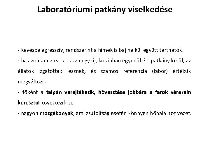 Laboratóriumi patkány viselkedése - kevésbé agresszív, rendszerint a hímek is baj nélkül együtt tarthatók.