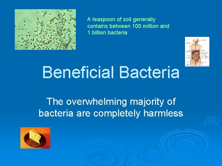 A teaspoon of soil generally contains between 100 million and 1 billion bacteria Beneficial