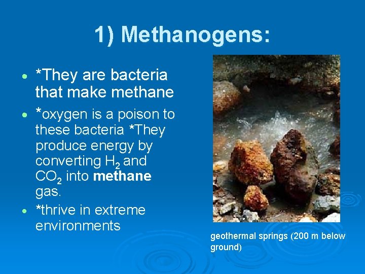 1) Methanogens: *They are bacteria that make methane *oxygen is a poison to these