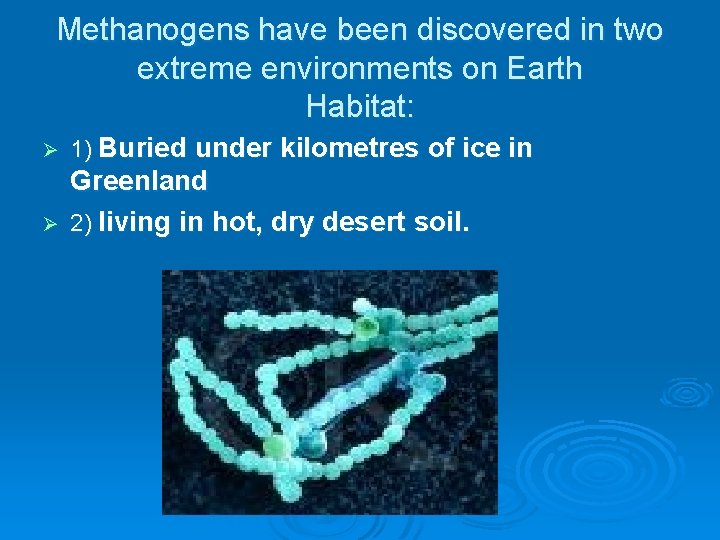 Methanogens have been discovered in two extreme environments on Earth Habitat: Ø 1) Buried