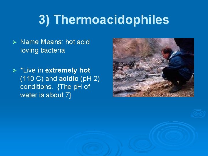 3) Thermoacidophiles Ø Name Means: hot acid loving bacteria Ø *Live in extremely hot