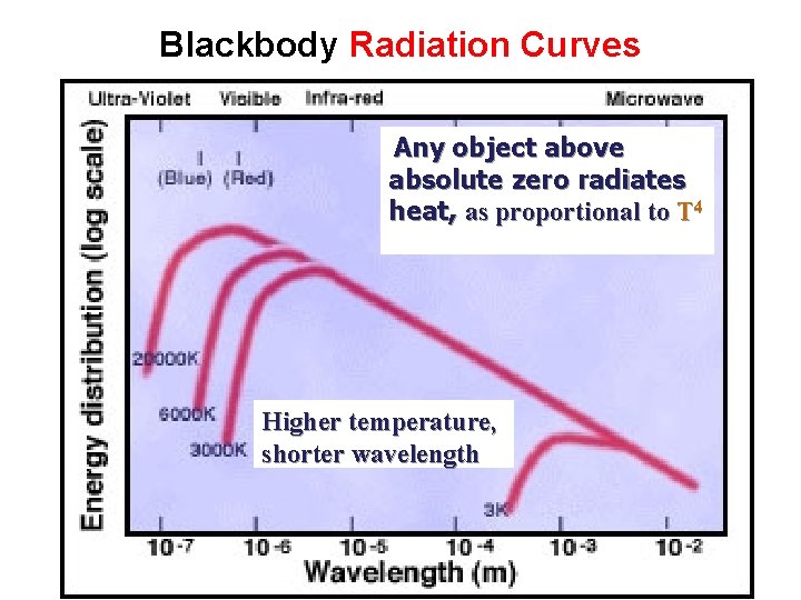 Blackbody Radiation Curves Any object above absolute zero radiates heat, as proportional to T