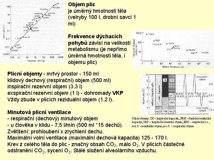 Objem plic je úměrný hmotnosti těla (velryby 100 l, drobní savci 1 ml) Frekvence