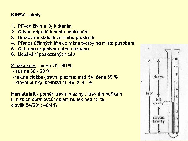 KREV – úkoly 1. Přívod živin a O 2 k tkáním 2. Odvod odpadů