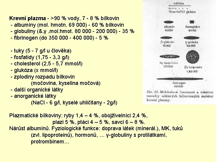 Krevní plazma - >90 % vody, 7 - 8 % bílkovin - albuminy (mol.