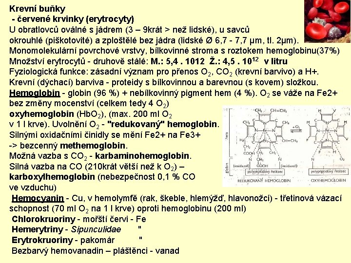 Krevní buňky - červené krvinky (erytrocyty) U obratlovců oválné s jádrem (3 – 9