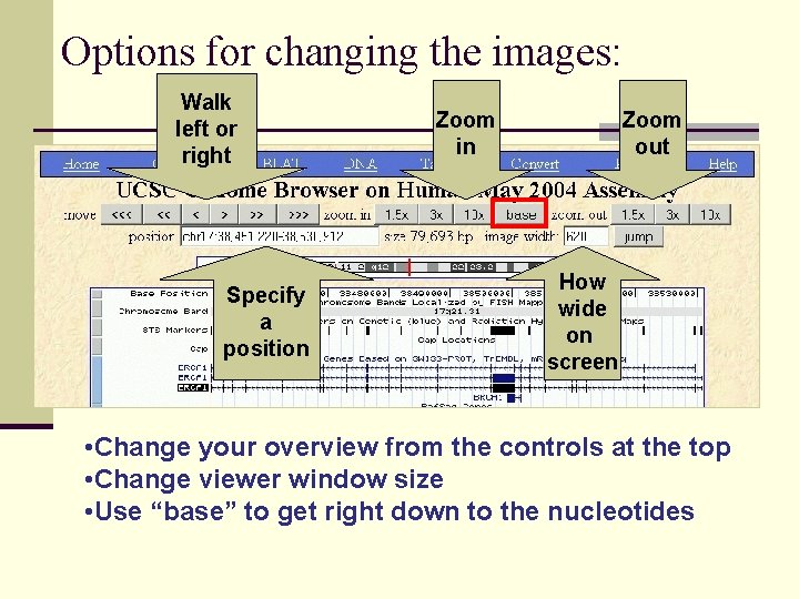 Options for changing the images: Walk left or right Specify a position Zoom in