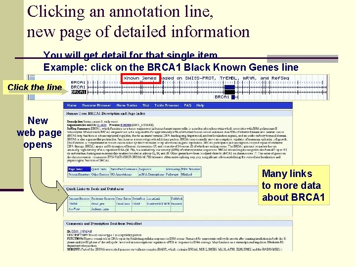 Clicking an annotation line, new page of detailed information You will get detail for