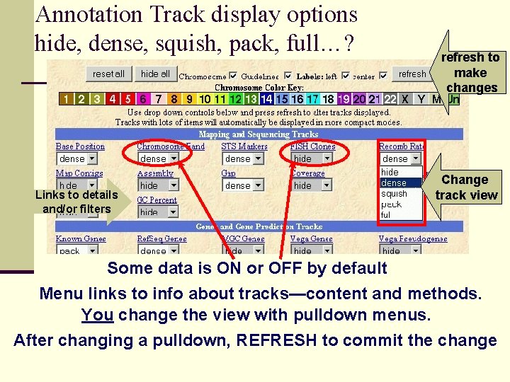 Annotation Track display options hide, dense, squish, pack, full…? Links to details and/or filters