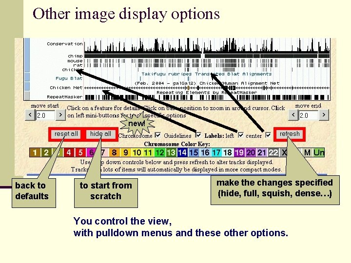 Other image display options new! back to defaults to start from scratch make the