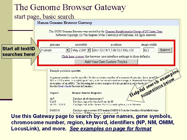 The Genome Browser Gateway start page, basic search Start all text/ID searches here! s