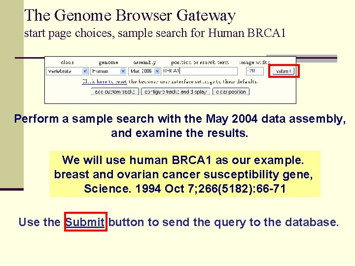 The Genome Browser Gateway start page choices, sample search for Human BRCA 1 Perform